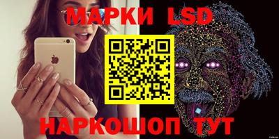молекула духа Новозыбков