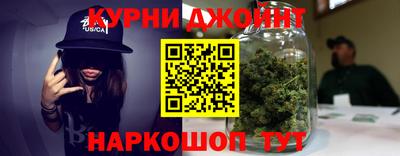 молекула духа Новозыбков