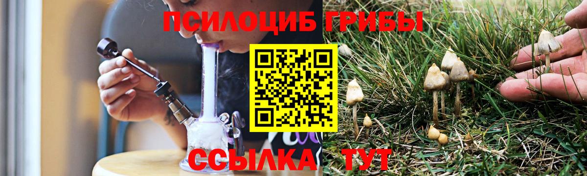 Галлюциногенные грибы MAGIC MUSHROOMS Татарск