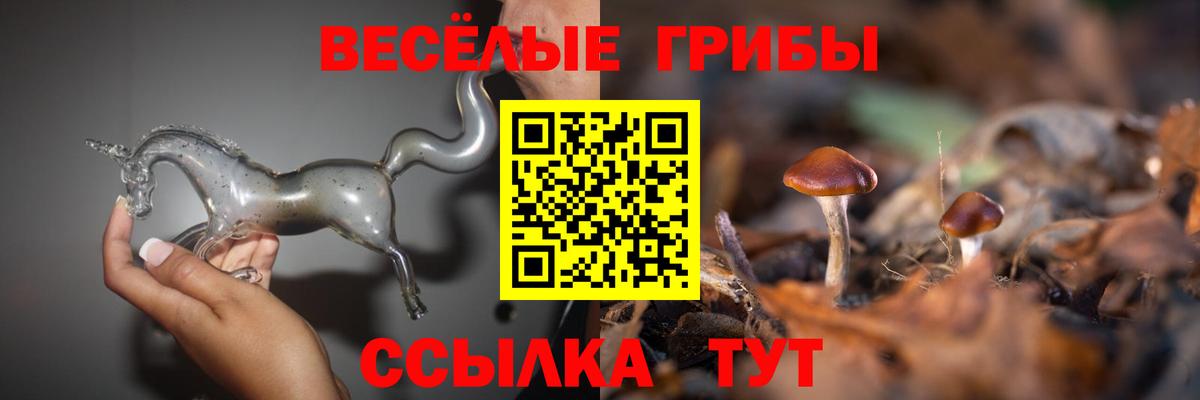 Псилоцибиновые грибы прущие грибы  Вход с VPN  закладки  Псилоцибиновые грибы MAGIC MUSHROOMS  Татарск 